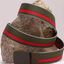 french accent Striped Waist Belt image 1