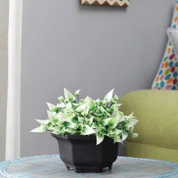 foliyaj Artificial Plant with Pot image 1