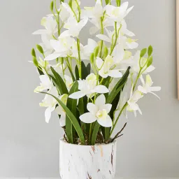 home centre Gloria Gardenia Artificial Orchids In Marble Pot image 1