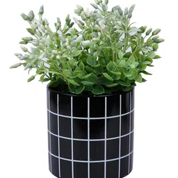 tayhaa Checked Ceramic Planter image 2