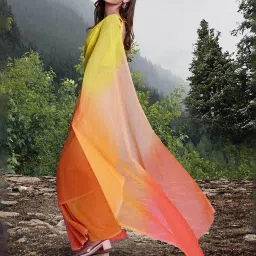 saree mall Colorblock Organza Half & Half Saree image 2