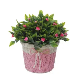 foliyaj Set of 2 Artificial Flower Plants with Pots image 2