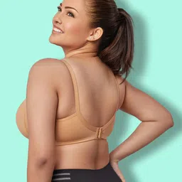 clothonics Women Pack of 2 Seamless Bras image 3