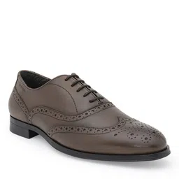 red tape Men Perforated Oxfords with Lace Fastening image 3