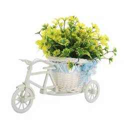 foliyaj Rickshaw Plant with Flowers image 3