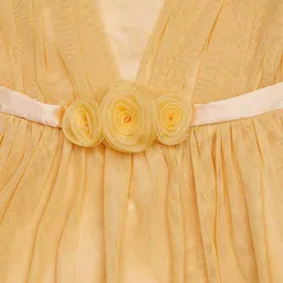 h by hamleys Fit & Flare Dress with Flower Applique image 3