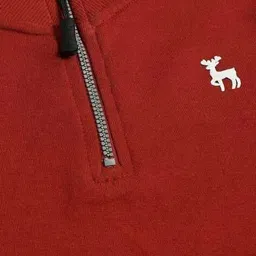 plumtree Boys Regular Fit Raised Print Half Zip-Up Mock Neck Sweatshirt image 3