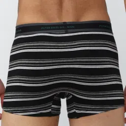 peter england Stripes trunks for men image 4