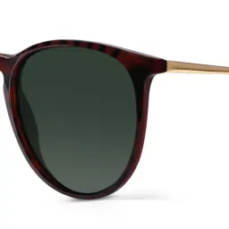 woggles Sunglasses image 4