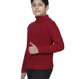 indiweaves Pack of 3 Boy High-Neck Sweaters image 4