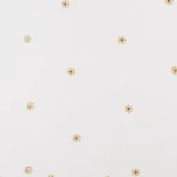 studiorasa Embellished Dupatta image 5