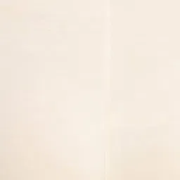 dollar missy Women Cotton Four-Way Stretchable Ankle-Length Leggings image 5