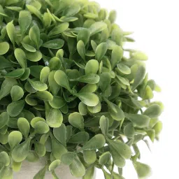 pure home and living Green Faux Boxwood Grass with Cement Pot image 5