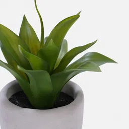 pure home and living Artificial Agave Plant with Cement Pot image 5