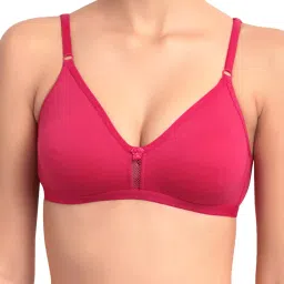 floret Pack of 2 Non-Padded Non-Wired T-shirt Bras image 5