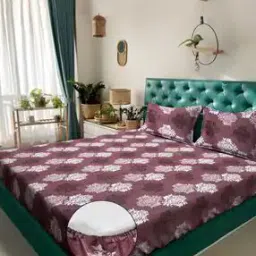 klotthe 400 TC Printed Double King Fitted Bedsheet with Pillow Covers -picture-42