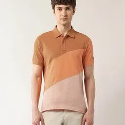 arrow sports Men Colourblock Regular Fit Polo T-Shirt-picture-49