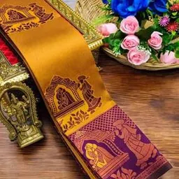 dwini Woven Saree with Contrast Border -picture-21