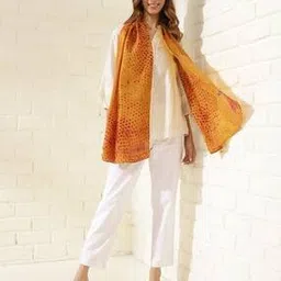 fabindia Women Geometric Print Silk Stole-picture-51