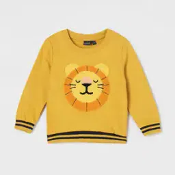 juniors by lifestyle Boys Embroidered Regular Fit Sweatshirt-picture-18
