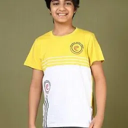 v-mart Boys Printed Regular Fit Round-Neck T-Shirt-picture-11