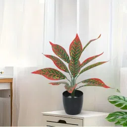 Home Bloom Beautiful Artificial Red Croton Plant Mini Bush Basic Black Pot Interior-image-46