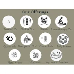 Deve Herbes Pure Clove Steam Distilled Essential Oil with Glass Dropper - 30 ml image 2