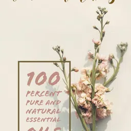 Deve Herbes Pure Macadamia Steam Distilled Essential Oil with Glass Dropper - 10 ml image 2