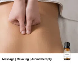 VEDANUM Set of 2 Clove & Cinnamon Organic Plant Essential Oil 15 ml (Each) image 3