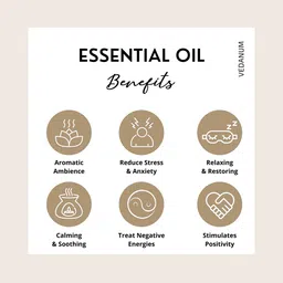 VEDANUM Set of 2 Clove & Cinnamon Organic Plant Essential Oil 15 ml (Each) image 4