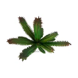Garden Deco Green Succulent Artificial Flower image 3