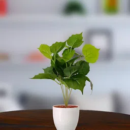 Garden Deco Green 2 Pieces Succulent Artificial Flower-image-94