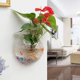 twins twins Wall Hanging Fish Bowl Acrylic White Colour with Free Money Plant and Color Stones (9Inch)(White)(Standard Size) image 3