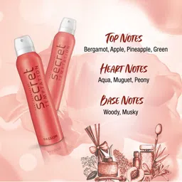 Secret Temptation Pack of 3 Deodorant Gift Box-150ml each image 4