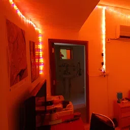 SPARK WORLD Red Rice Shaped String Lights image 2