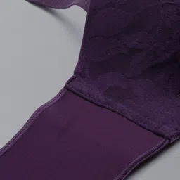 Enamor Lace All Day Comfort Medium Coverage Underwired Lightly Padded Cut and Sew Bra image 2