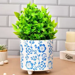 TAYHAA White & Blue Flowers Printed Ceramic Planter-picture-32
