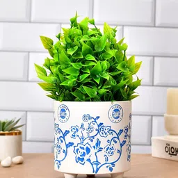 TAYHAA White & Blue Printed Botanical Bliss Ceramic Planter-picture-29