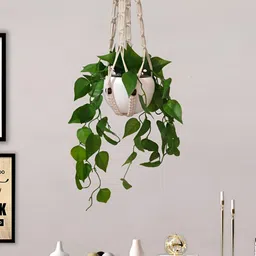 Homesake Green & White Hanging Artificial Money Plant With Pot-image-20