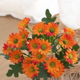 Art Street Orange Colored 2 Pieces Artificial Daisy Flowers-picture-2