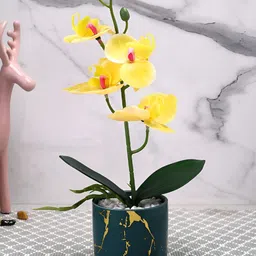 TAYHAA Yellow & Green Orchid Artificial Flower With Ceramic Pot-image-53