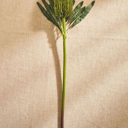 Pure Home and Living Green Protea Faux Flower Stem-picture-36