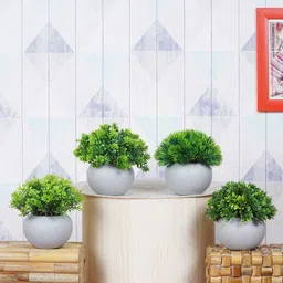 Dekorly Green & White 4 Pcs Bonsai Decorative Artificial Plant With Ceramic Pot-picture-12
