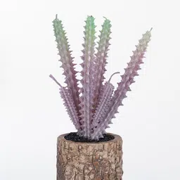 Kuber Industries Lavender & Brown Artificial Succulent Plant With Pot-picture-44