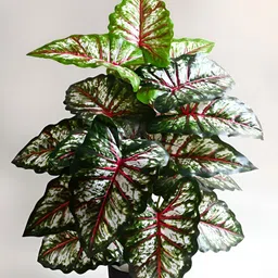 Blooming Floret Green & Red Artificial Plant With Pot-picture-24