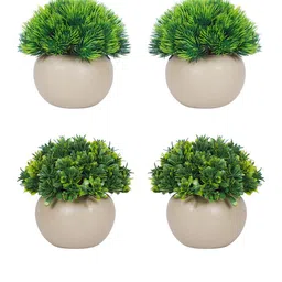 Dekorly Green & Beige 4 Pieces Bonsai Artificial Plants With Pots image 2