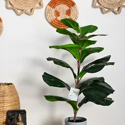 Blooming Floret Green Fig Artificial Plant With Pot image 5