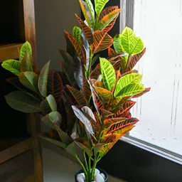Blooming Floret Green & Orange Croton Artificial Plant With Pot image 4