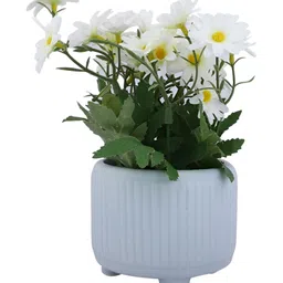 TAYHAA White & Green Daisy Artificial Plant With Ceramic Pot image 5