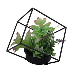 TAYHAA Green 1 Pieces Succulent Artificial Plant With Pot image 5